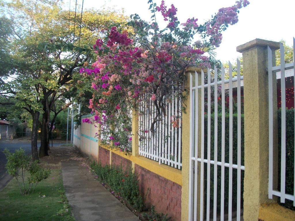 Hostal Casa Los Espinoza Managua Luaran gambar